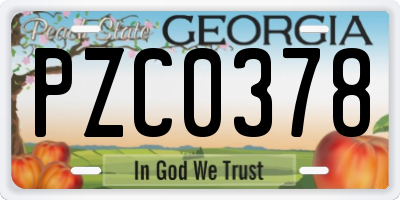 GA license plate PZC0378