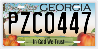 GA license plate PZC0447