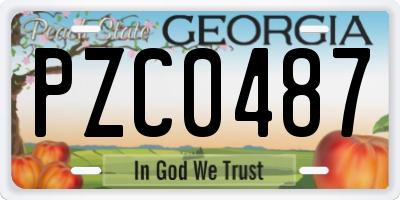 GA license plate PZC0487