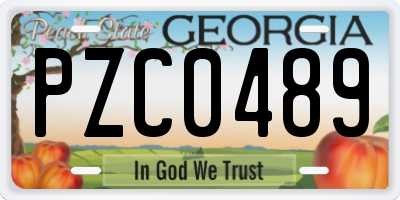 GA license plate PZC0489