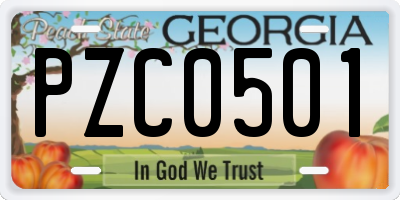 GA license plate PZC0501