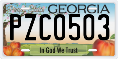 GA license plate PZC0503