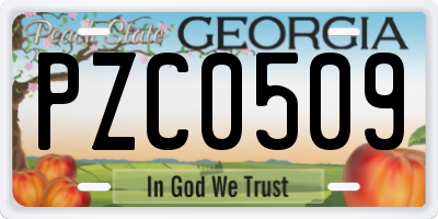 GA license plate PZC0509