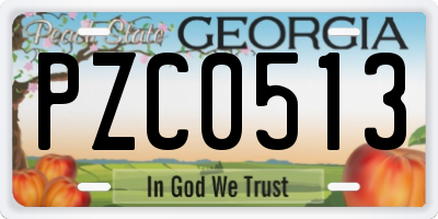 GA license plate PZC0513