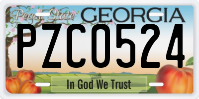 GA license plate PZC0524
