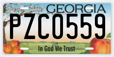 GA license plate PZC0559