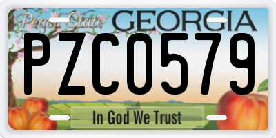 GA license plate PZC0579