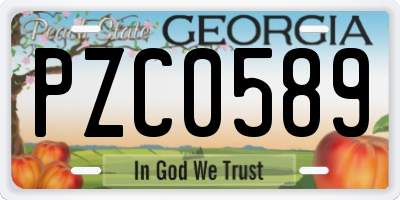 GA license plate PZC0589