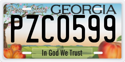 GA license plate PZC0599
