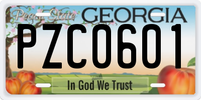 GA license plate PZC0601