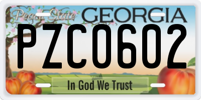 GA license plate PZC0602