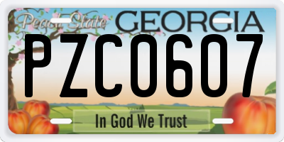 GA license plate PZC0607