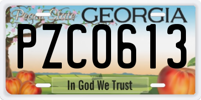 GA license plate PZC0613