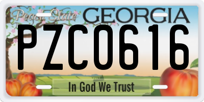GA license plate PZC0616