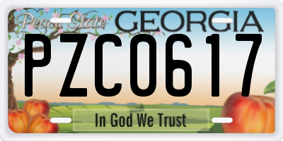 GA license plate PZC0617