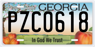 GA license plate PZC0618
