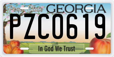 GA license plate PZC0619
