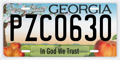 GA license plate PZC0630