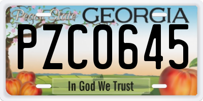 GA license plate PZC0645