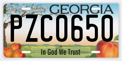 GA license plate PZC0650