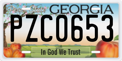 GA license plate PZC0653