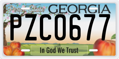 GA license plate PZC0677