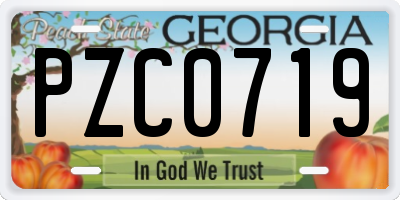 GA license plate PZC0719