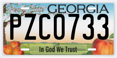 GA license plate PZC0733