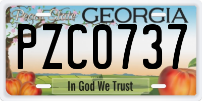 GA license plate PZC0737
