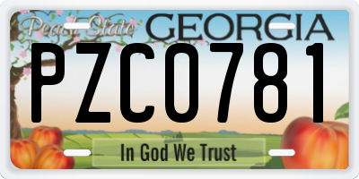 GA license plate PZC0781