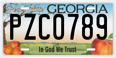 GA license plate PZC0789