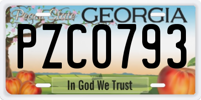 GA license plate PZC0793