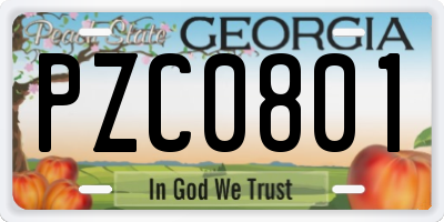 GA license plate PZC0801