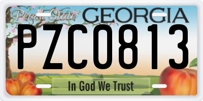GA license plate PZC0813