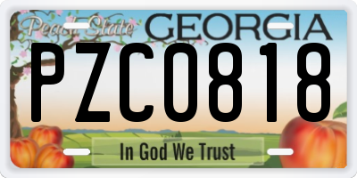 GA license plate PZC0818