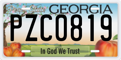 GA license plate PZC0819