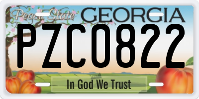 GA license plate PZC0822
