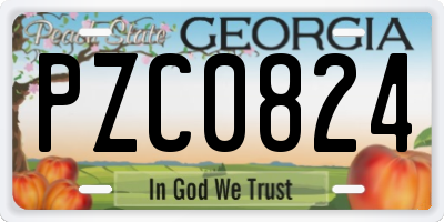 GA license plate PZC0824
