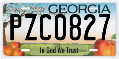 GA license plate PZC0827