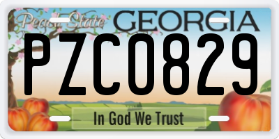 GA license plate PZC0829
