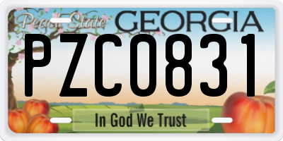 GA license plate PZC0831