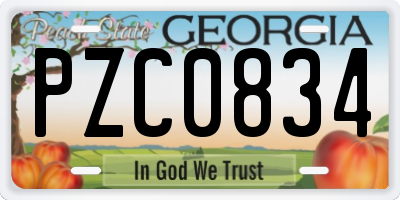 GA license plate PZC0834