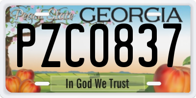 GA license plate PZC0837
