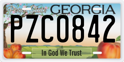 GA license plate PZC0842