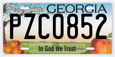 GA license plate PZC0852