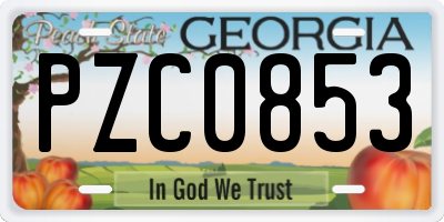 GA license plate PZC0853