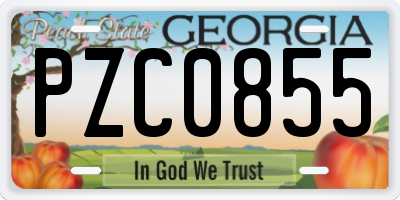 GA license plate PZC0855