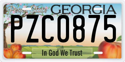 GA license plate PZC0875