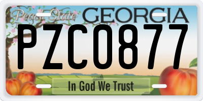 GA license plate PZC0877