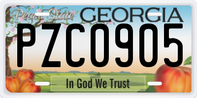 GA license plate PZC0905